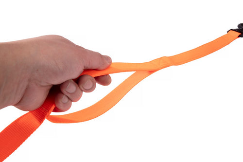 Direct From Factory Custom Nylon Dog Leash Other Pet Accessories with Solid Pattern Ribbon Decoration Best Quality Pet Supplies