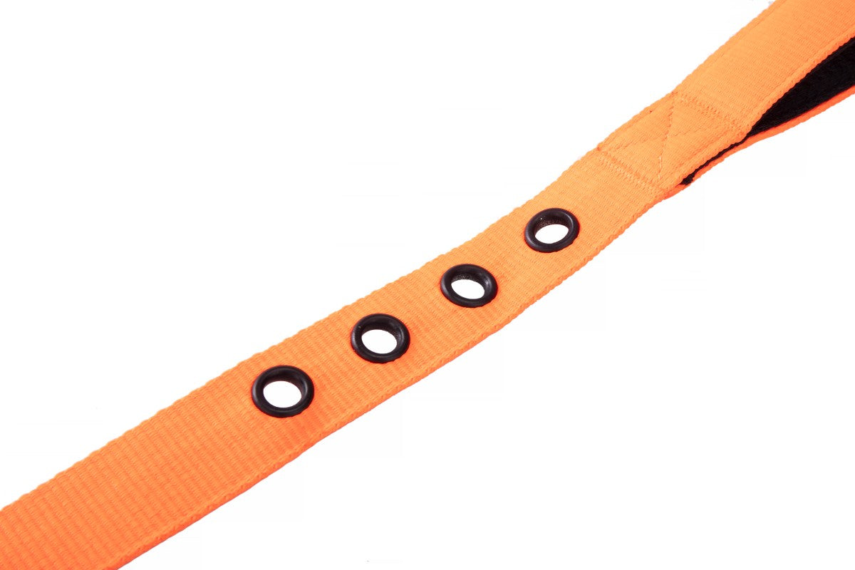 Direct From Factory Custom Nylon Dog Leash Other Pet Accessories with Solid Pattern Ribbon Decoration Best Quality Pet Supplies