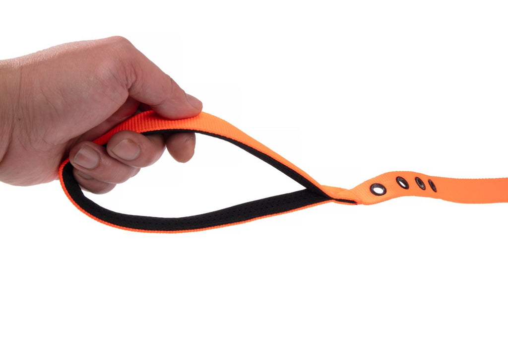 Direct From Factory Custom Nylon Dog Leash Other Pet Accessories with Solid Pattern Ribbon Decoration Best Quality Pet Supplies