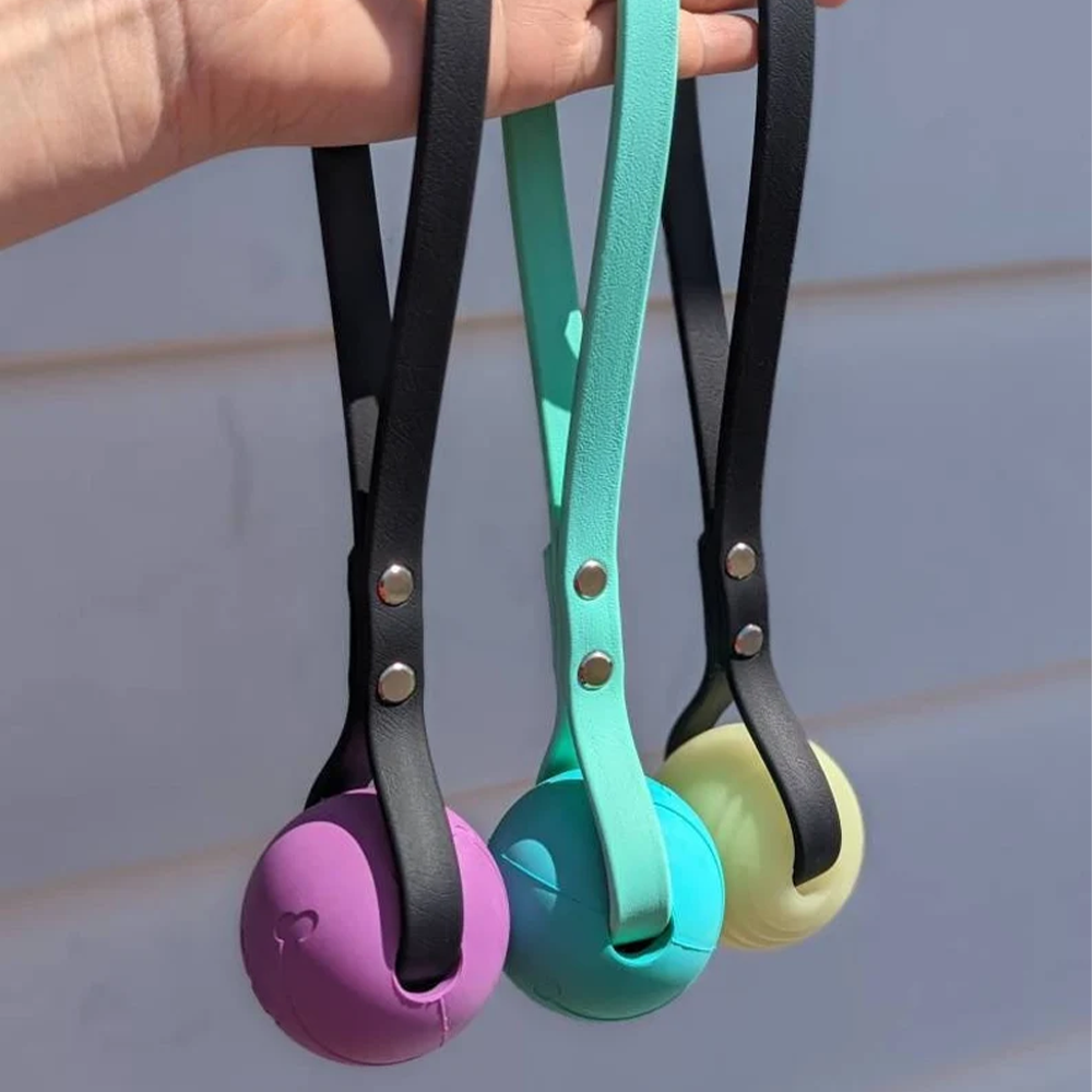 Tennis Ball Dog Toy Playing Interactive Pet Toys and PVC Dog Leash for Dogs in All Size