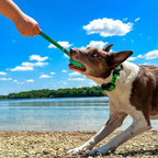 Tennis Ball Dog Toy Playing Interactive Pet Toys and PVC Dog Leash for Dogs in All Size