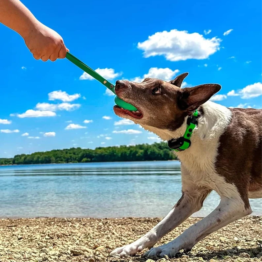 Tennis Ball Dog Toy Playing Interactive Pet Toys and PVC Dog Leash for Dogs in All Size