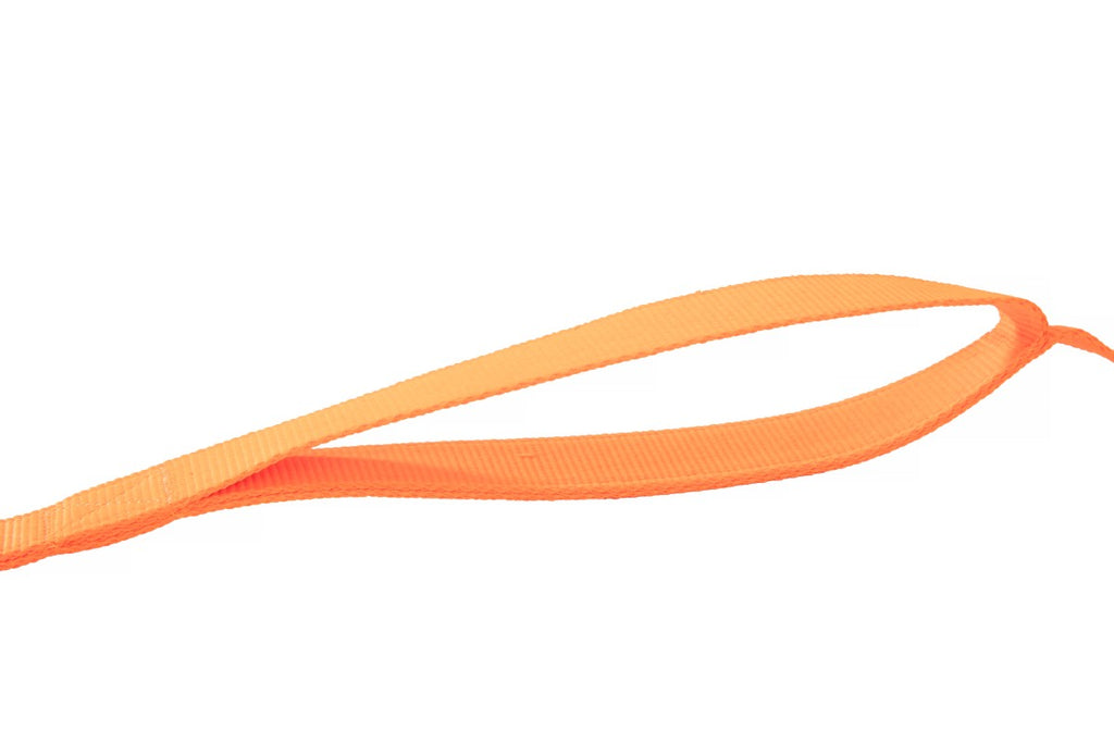 Direct From Factory Custom Nylon Dog Leash Other Pet Accessories with Solid Pattern Ribbon Decoration Best Quality Pet Supplies