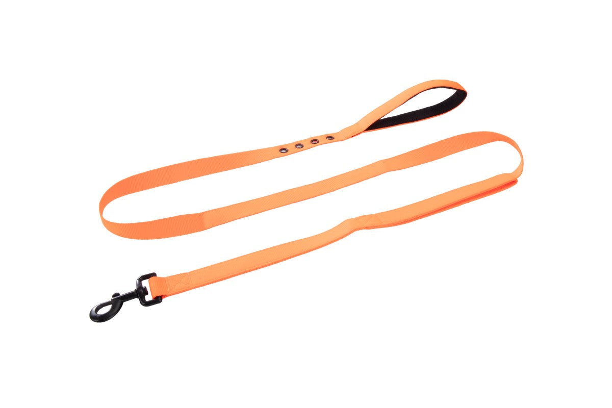 Direct From Factory Custom Nylon Dog Leash Other Pet Accessories with Solid Pattern Ribbon Decoration Best Quality Pet Supplies